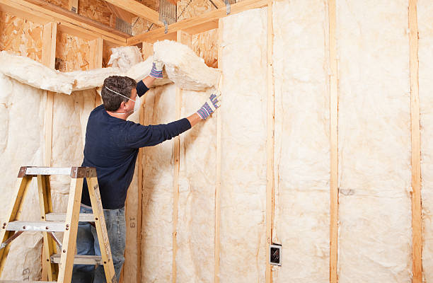 Trusted Mono Vista, CA Insulation Services Experts